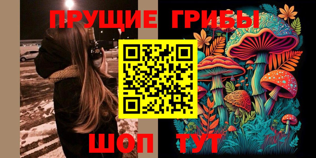 Кольчугино  даркнет сайт  Вход с VPN  Псилоцибиновые грибы GOLDEN TEACHER 